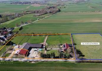 484169-Vorschaubild3