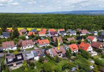 492950-Vorschaubild2