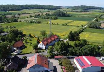 493266-Vorschaubild3