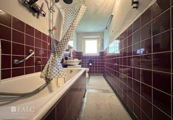 495872-Vorschaubild4