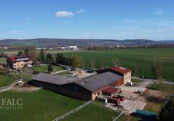 496228-Vorschaubild2