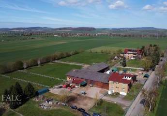 496228-Vorschaubild3