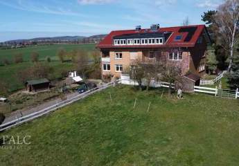 496229-Vorschaubild2