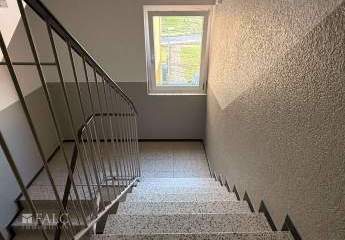 477782-Vorschaubild2