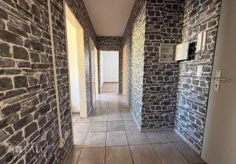 477782-Vorschaubild3