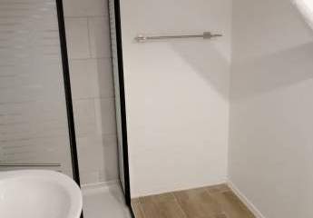 481933-Vorschaubild3