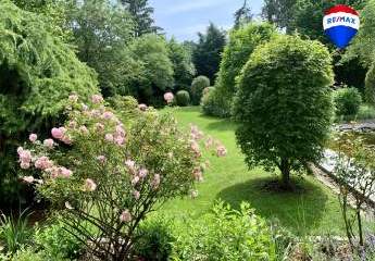 432935-Vorschaubild2
