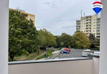 447885-Vorschaubild3