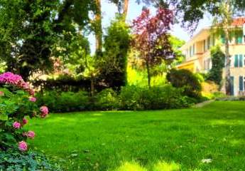 451144-Vorschaubild2