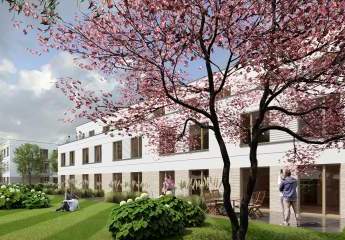 453536-Vorschaubild3