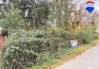 458683-Vorschaubild3