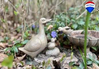 468919-Vorschaubild4