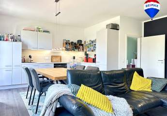 477753-Vorschaubild3