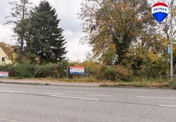 481298-Vorschaubild2