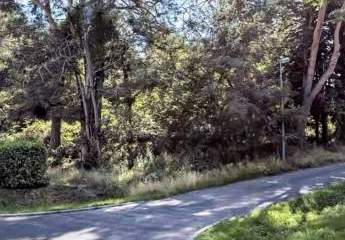 483944-Vorschaubild3