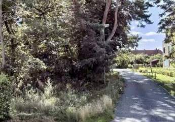 483944-Vorschaubild4