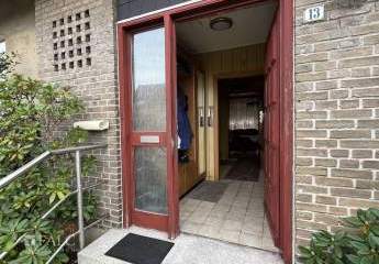 456956-Vorschaubild4