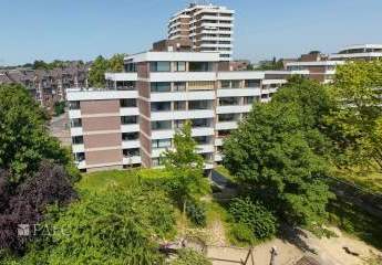 453825-Vorschaubild2