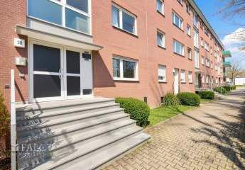 484159-Vorschaubild4