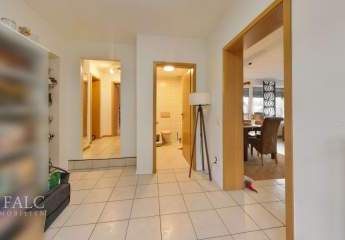 484287-Vorschaubild3