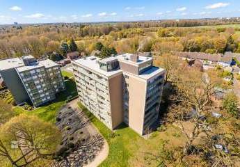 484646-Vorschaubild2