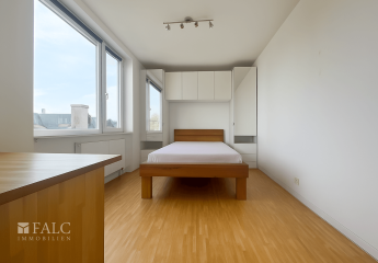 447871-Vorschaubild4