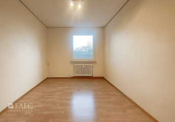 462938-Vorschaubild4