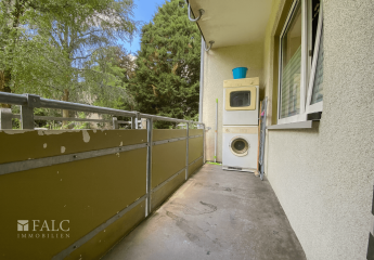 431455-Vorschaubild4