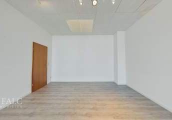 485091-Vorschaubild2