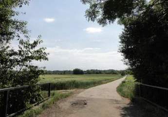 429330-Vorschaubild3