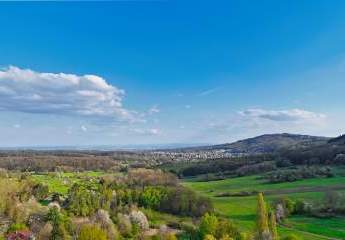 457937-Vorschaubild2