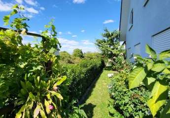 457946-Vorschaubild4