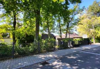 459648-Vorschaubild2