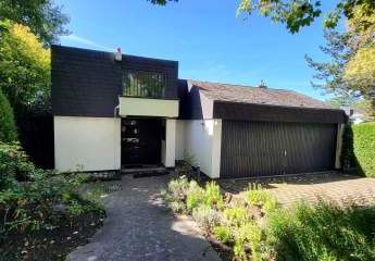 459648-Vorschaubild4