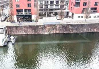 465834-Vorschaubild2