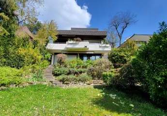 486374-Vorschaubild2