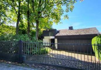 486374-Vorschaubild3