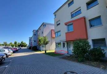 495798-Vorschaubild3