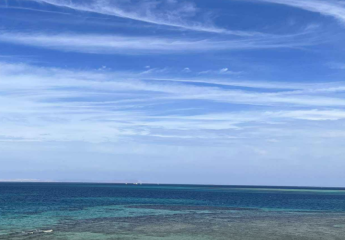 Oro Beach Resort