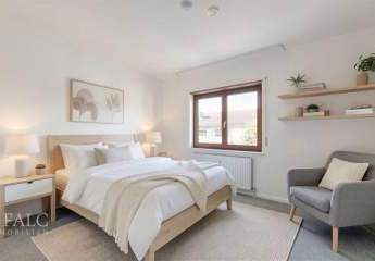 484374-Vorschaubild3