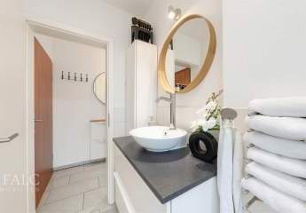 487645-Vorschaubild3