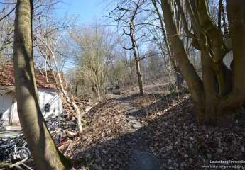 414577-Vorschaubild2