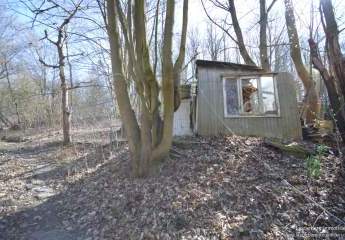 414577-Vorschaubild3