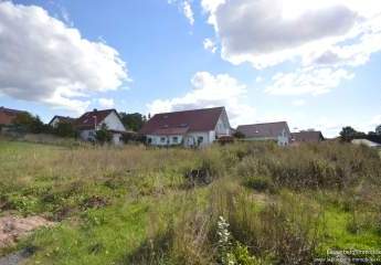 398644-Vorschaubild3