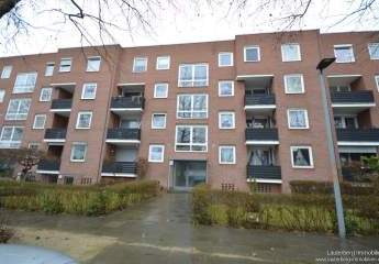 475778-Vorschaubild2