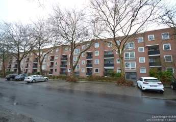 475778-Vorschaubild3