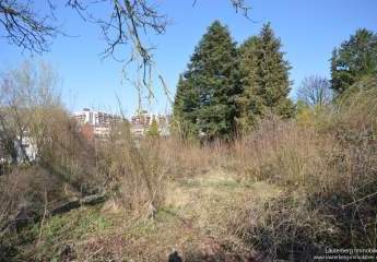 479722-Vorschaubild4