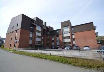 484712-Vorschaubild2