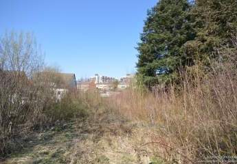 479722-Vorschaubild2