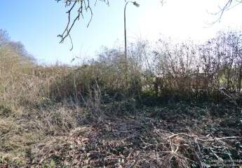 479722-Vorschaubild3